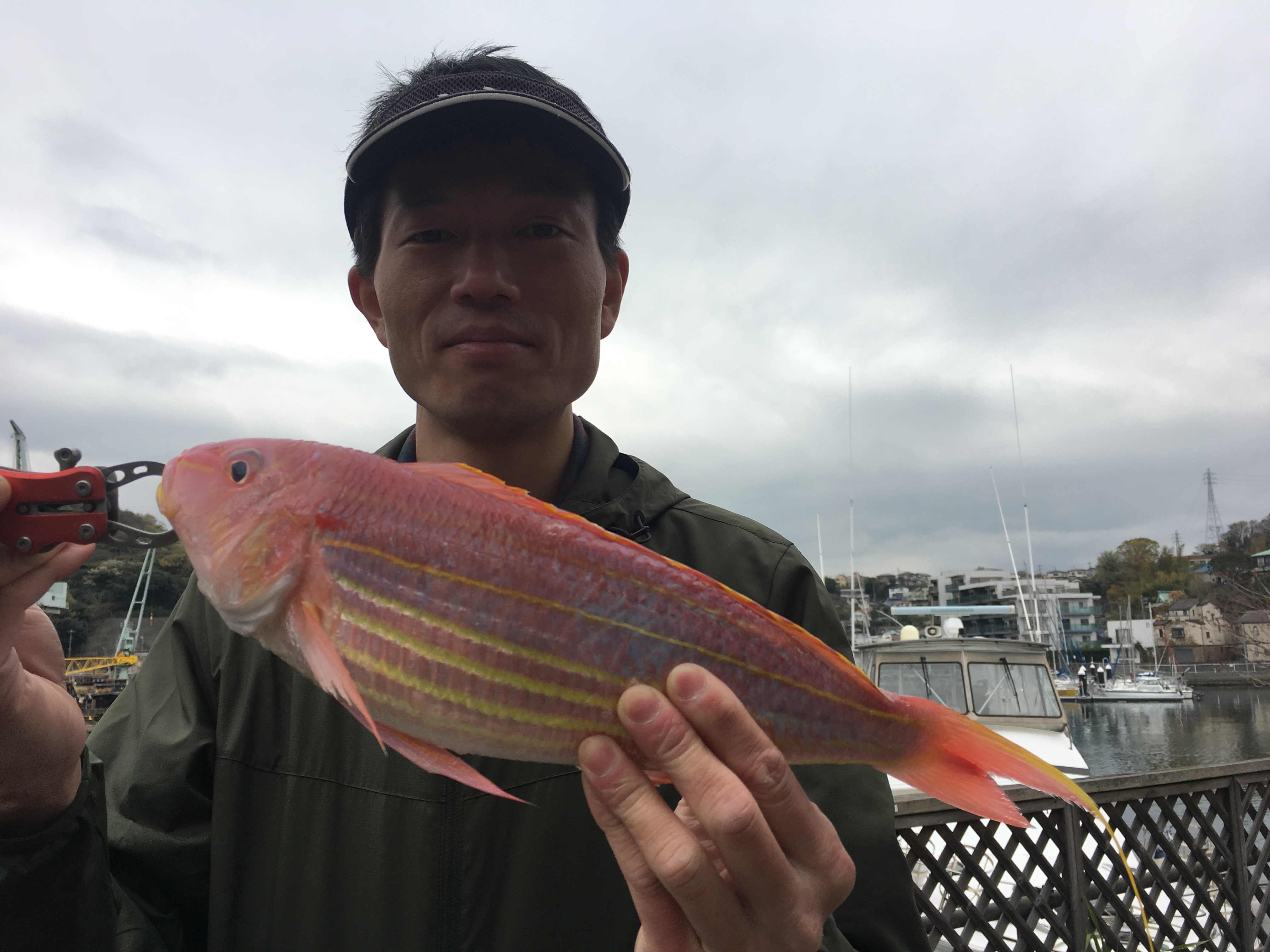 久里浜沖タイラバ 東京湾タイラバなら辰丸